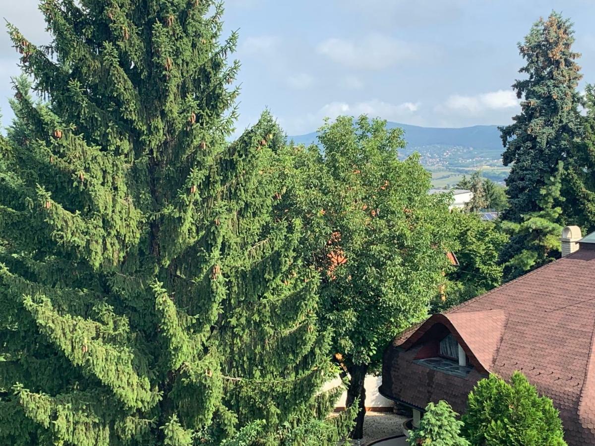 Maharaja Mountain Palace With Free Privat Parking And Garden Budapeşte Dış mekan fotoğraf